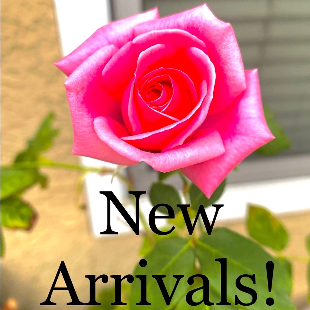 NEW ARRIVALS DROPPING NOW